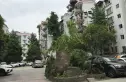 东府花园实景图