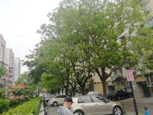 石佛营东里电梯三居室满五年业主诚意出售近3号线
