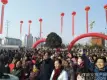 恒基御龙国际活动现场