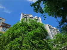 江南小镇C区,三室1厅2卫,中间楼层,看房有钥匙