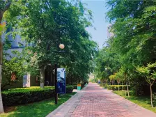 小镇c区 三室 楼层好 小区环境优美