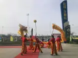 舞狮活动