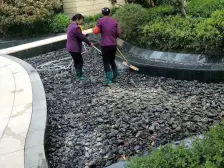 与别墅同院 万科物业品质小区环境好,满五唯一