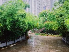 精装2 室 拎包入住 低税费 产权清晰