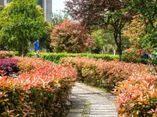 东都国际毛坯房三房适合教育小区环境优美