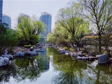 视野开阔 采光好 小区绿化优美 园林设计