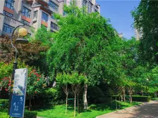 小区中间位置 视野开阔 小区绿化优美 园林设计