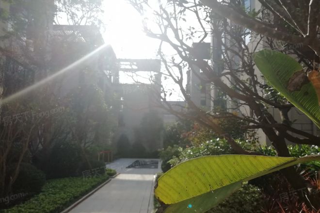 君华小镇实景图