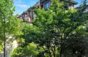 同济晶萃实景图