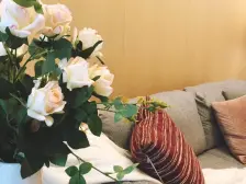 位置好,租金高,高层视野开阔,精装修地铁沿线