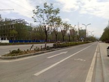 此房户型方正;采光日照充足;楼间距宽