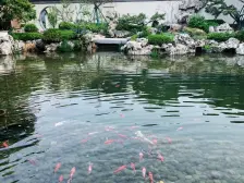 绿城桃李春风 4室2厅 南 北