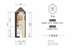 三亚·恒大美丽之冠建面33.00㎡