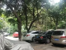 建工职院小区 3室1厅 东南