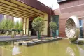 滨湖湾活动现场