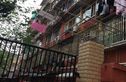 白兰园实景图