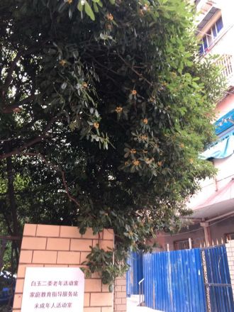 白兰园实景图