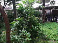 低总价单价低户型方正挑高东边无遮挡一室户