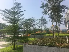 户型方正 视野开阔 独立产权