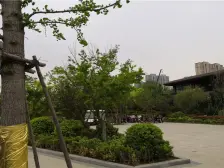 园博园旁 环境优异 户型方正 精装修