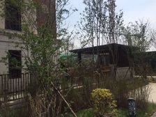 融创观澜壹号是低密小区,绿化没问题。带花园。