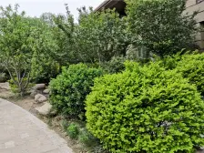 中建长清湖知园 顶层复式 有大露台