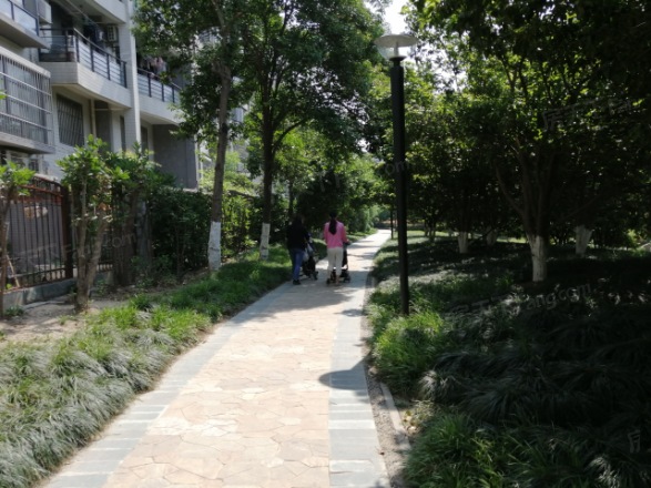 丹青花园
