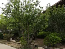 中建长清湖乐园 3室2厅 东 南 西 北