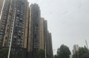 湟普国际湟座实景图