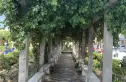 莲馨苑实景图