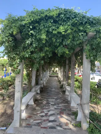 莲馨苑实景图