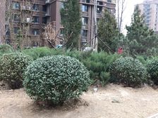 华瀚福园C区南北2居,视野好,南北通透