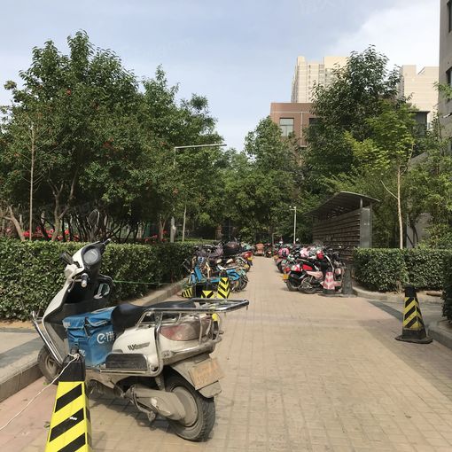  �������ͻ�԰����1��1���ϳ���1000.00Ԫ/�³��� 