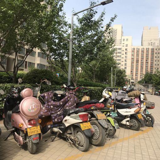  �������ͻ�԰����1��1��1��������1100.00Ԫ/�³��� 