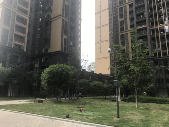 湟普国际湟座实景图