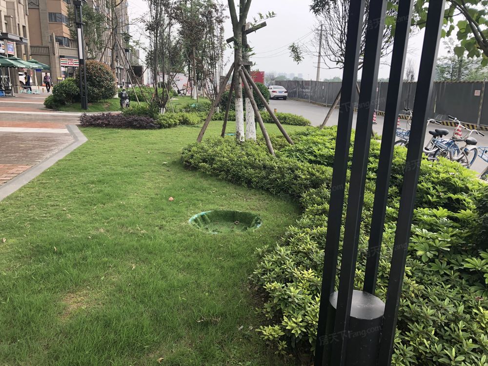 小区相关图