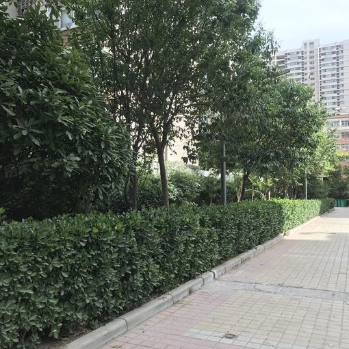  �������ͻ�԰����1��1��1�����ϳ���1200.00Ԫ/�³��� 