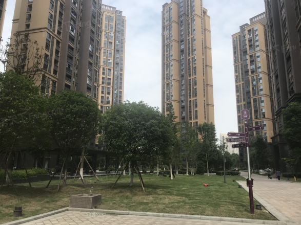 湟普国际湟座实景图