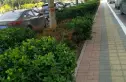文化名邸实景图