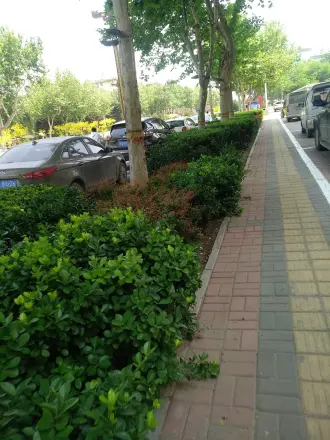 文化名邸实景图