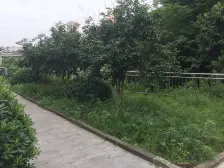 农业园区 铂金时代(渝北)三房60万