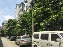 致祥路44号4室2厅西