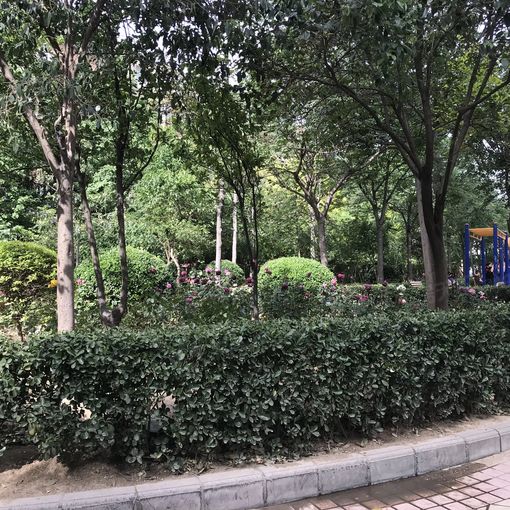  �������ͻ�԰����1��1��������1000.00Ԫ/�³��� 