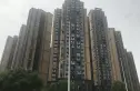 湟普国际湟座实景图