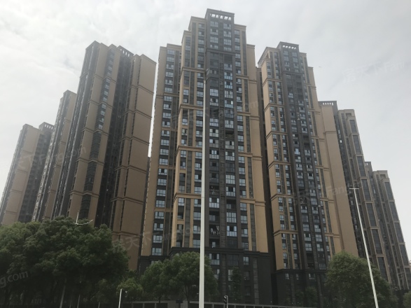 湟普国际湟座实景图