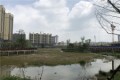 鹭岛国际二期实景图