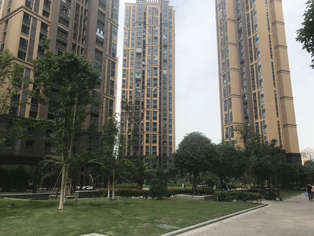 小区相关图