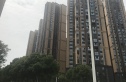 湟普国际湟座实景图