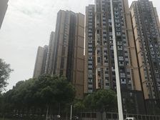 湟普国际3室2厅西北