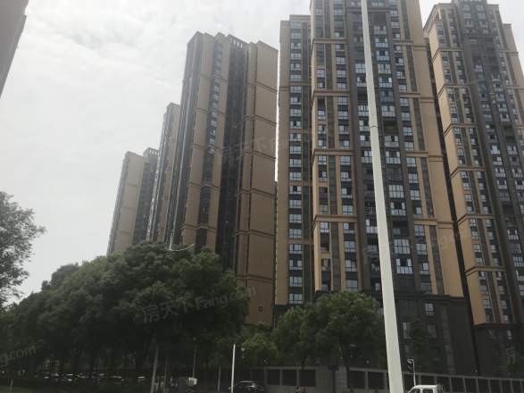 湟普国际湟座实景图